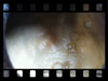 Fermentation en barrique